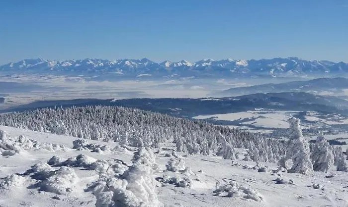 Restauracia Gol Oravske Vesele